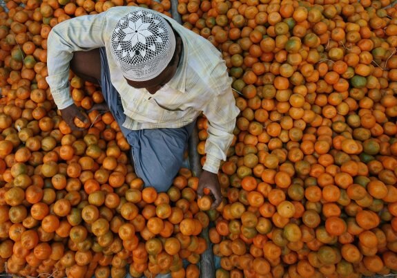 Un proveedor organiza naranjas en un mercado de Kolkata, en el este de la India. :: REUTERS/Parth Sanyal 