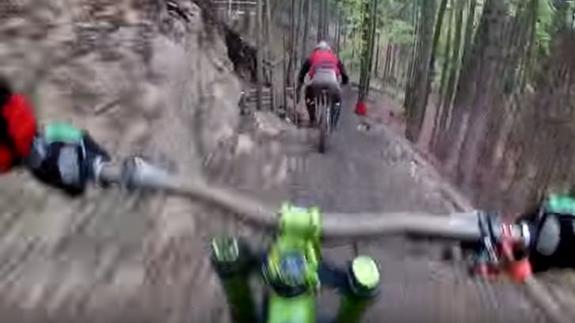 Un oso pardo persigue a dos ciclistas en Eslovaquia