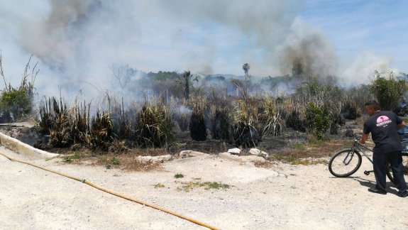 Una de las parcelas en llamas junto al Camí La Rodona. 
