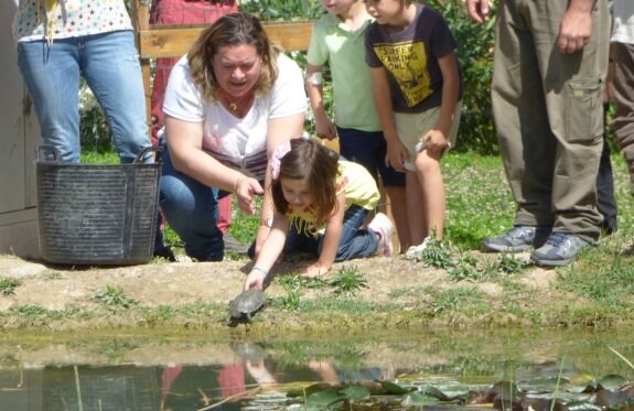 Una alumna libera una tortuga. :: lp