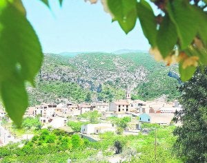 Cerezas de la Gallinera