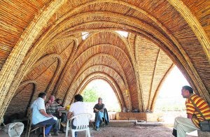 Un 'Calatrava' de cañas y barro