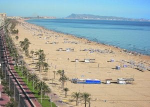 Gandia, una playa libre de medusas