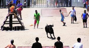 El Consell consulta con expertos qué tasa de alcohol fijará para los bous