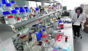 Una investigadora trabaja en uno de los laboratorios del Centro de Investigación Príncipe Felipe. / J.Signes