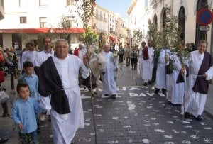 Romería del Domingo de Ramos del año pasado en Tavernes de la Valldigna. ::
LP