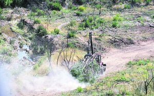 Andilla fuerza la paralización temporal de la tala de árboles que se salvaron del incendio