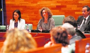 La alcaldesa de Torrent, Amparo Folgado, en el transcurso de un pleno municipal. ::                             LP