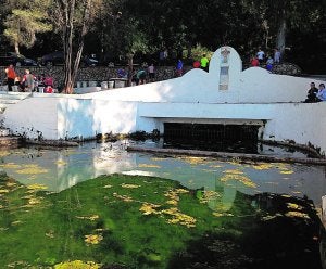 Agua estancada y sucia en el Clot de la Font de Tavernes. ::
LP