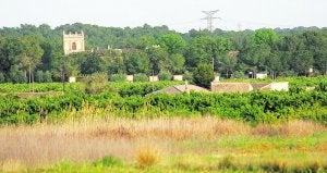 Una de las zonas protegidas de La Vallesa, en el término de Paterna. ::
MONZÓ