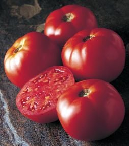 Cuando la Ribera 'exportó' el cultivo del tomate