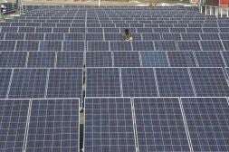 Parque solar ubicado en Alginet.