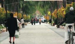 CONCURRIDA. Vecinos pasean por la avenida País Valencià. /LP