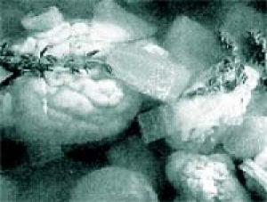 Acabado del plato / LV