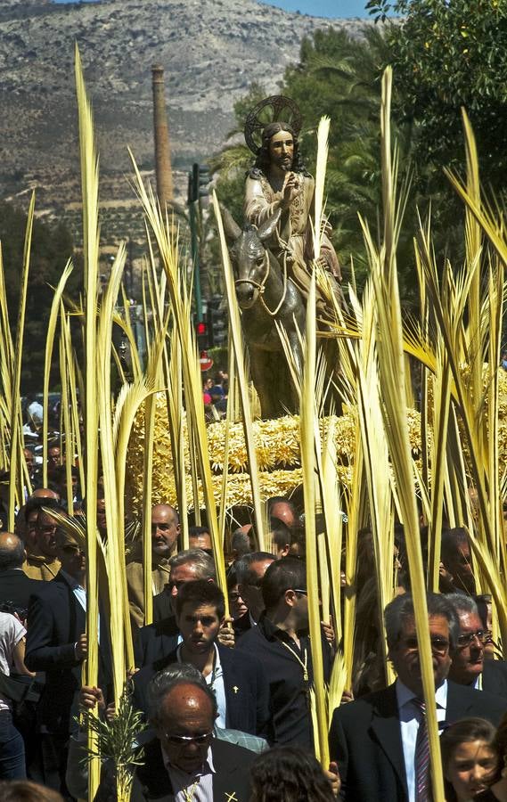 Domingo de Ramos en Elche