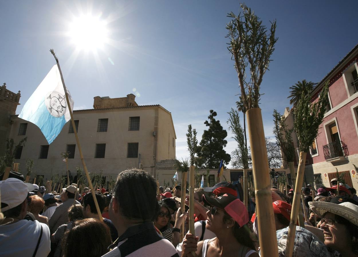 Romería de la Santa Faz de 2014 (I)