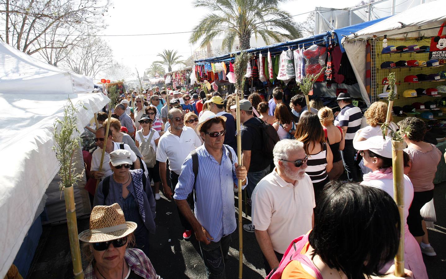 Romería de la Santa Faz de 2014 (I)