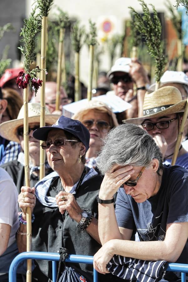 Romería de la Santa Faz de 2014 (I)