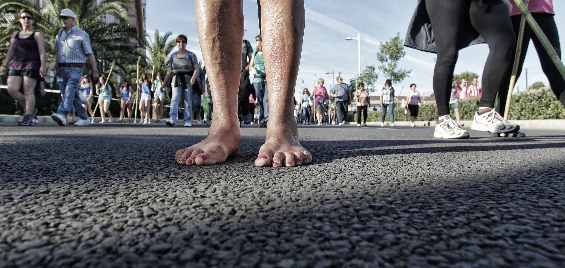 Romería de la Santa Faz de 2014 (II)