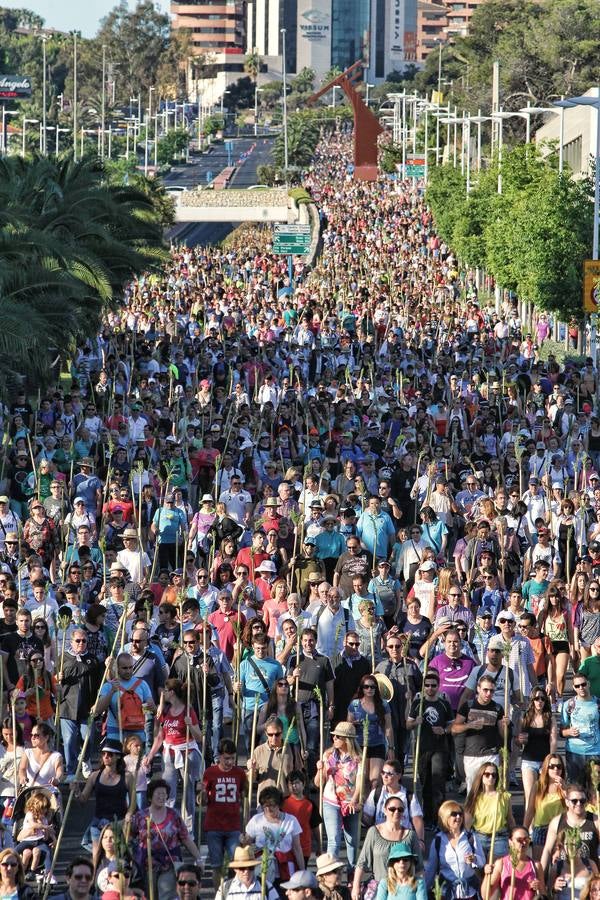 Romería de la Santa Faz de 2014 (II)