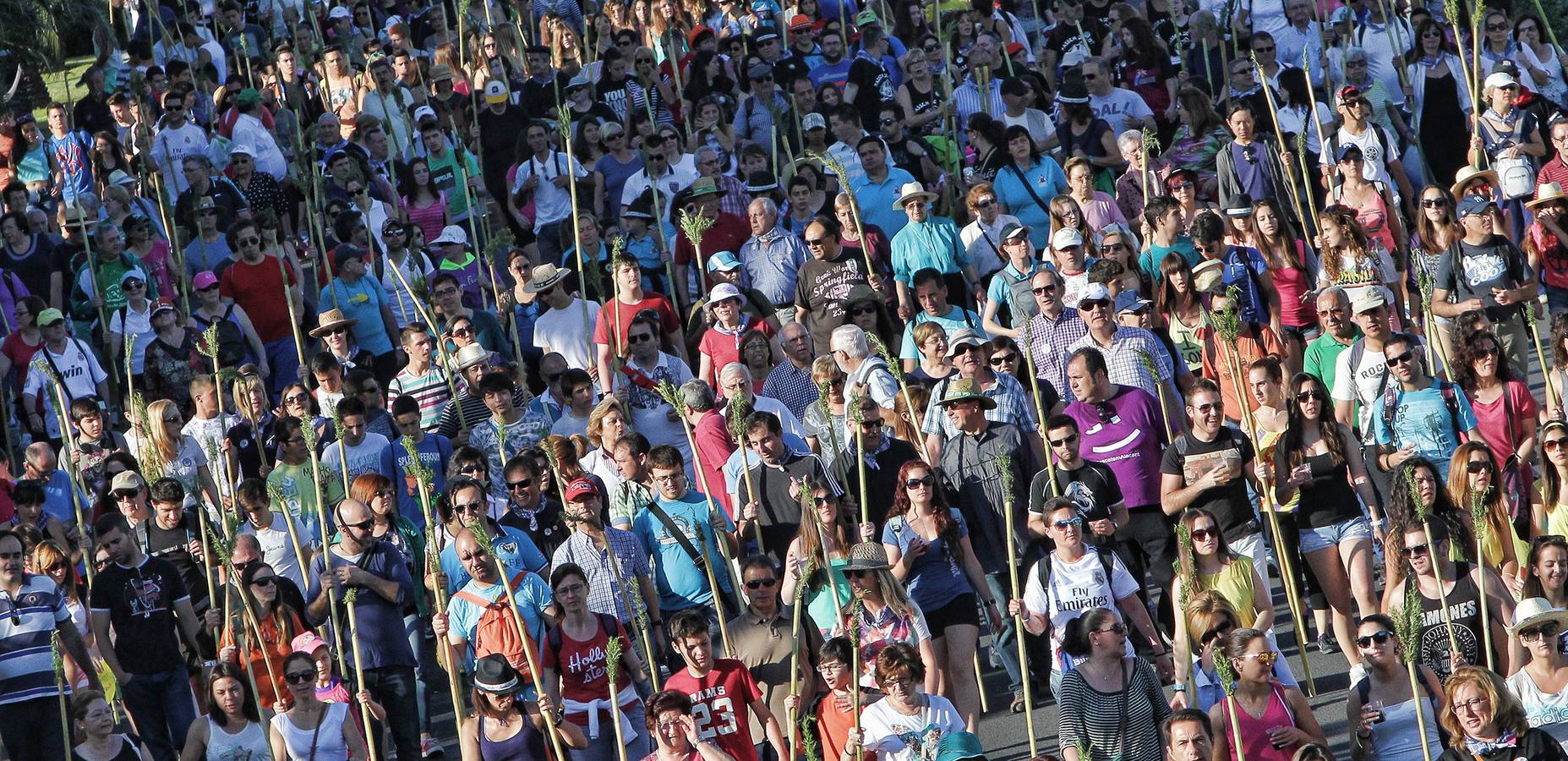 Romería de la Santa Faz de 2014 (II)