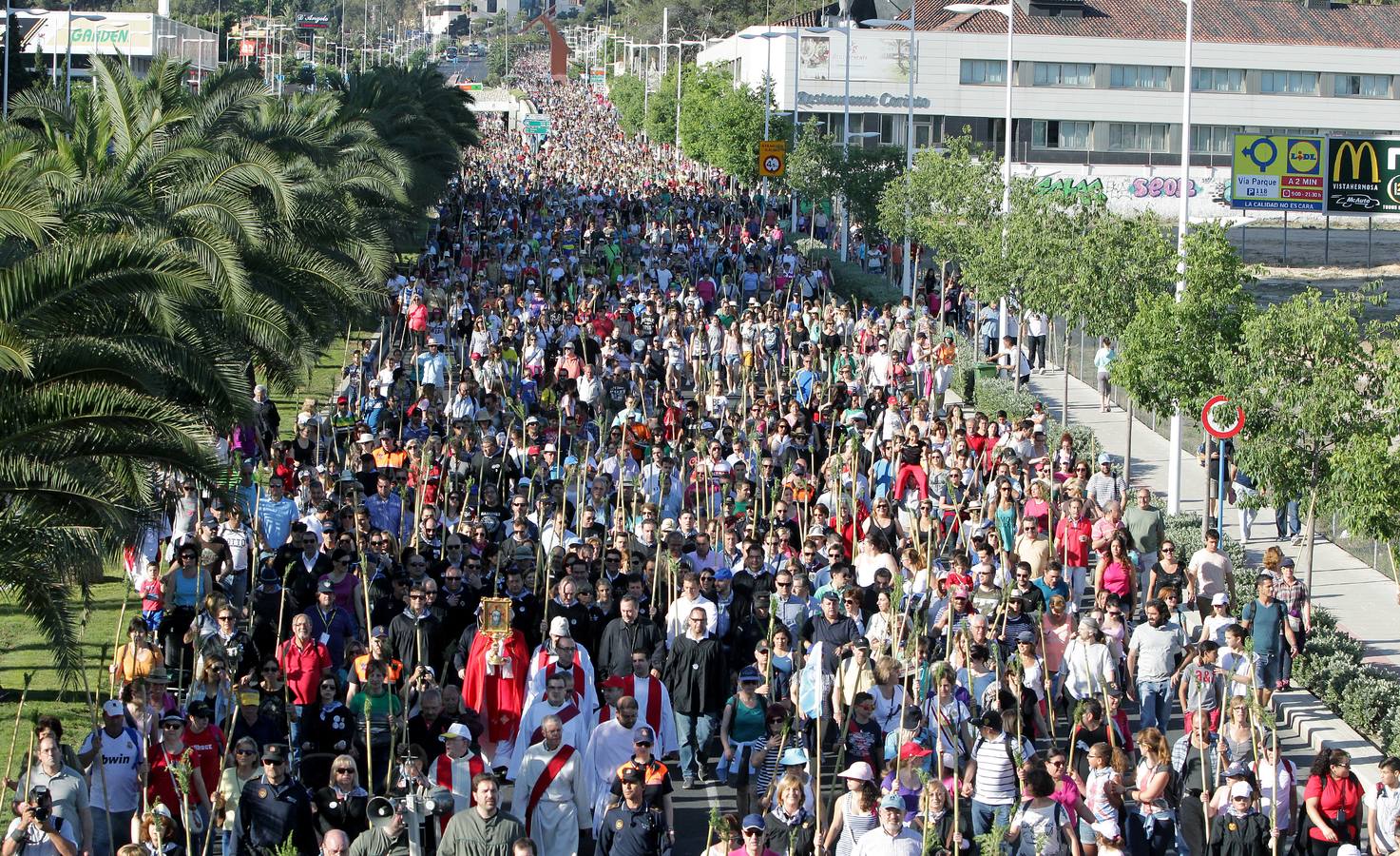 Romería de la Santa Faz de 2014 (II)