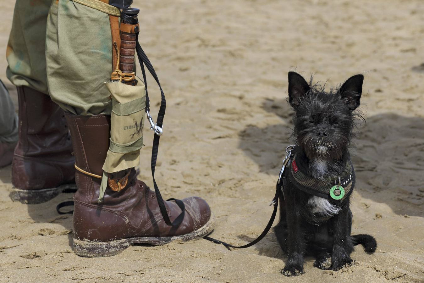 Aniversario del Día-D