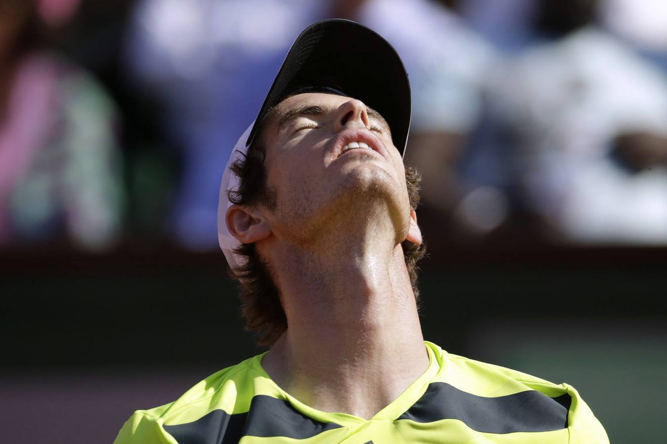 Nadal - Murray, en imágenes