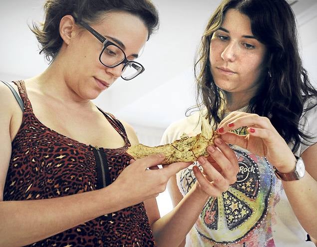 Carolina Cucart y Marta Pernas observan una mandíbula de oso de 4.000 años en el laboratorio.