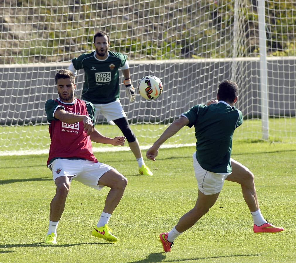 Entrenamiento franjiverde en Campoamor