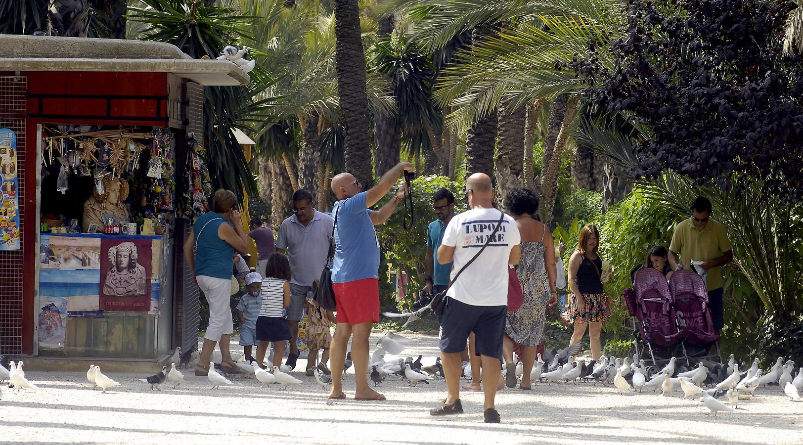 Los turístas visitan el Parque Municipal de Elche