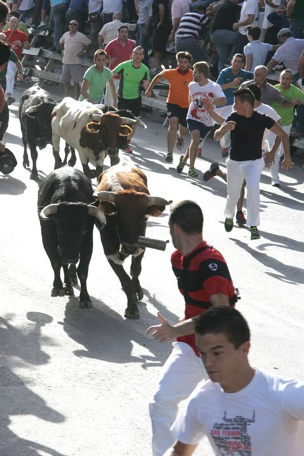 Primer encierro limpio en Calasparra