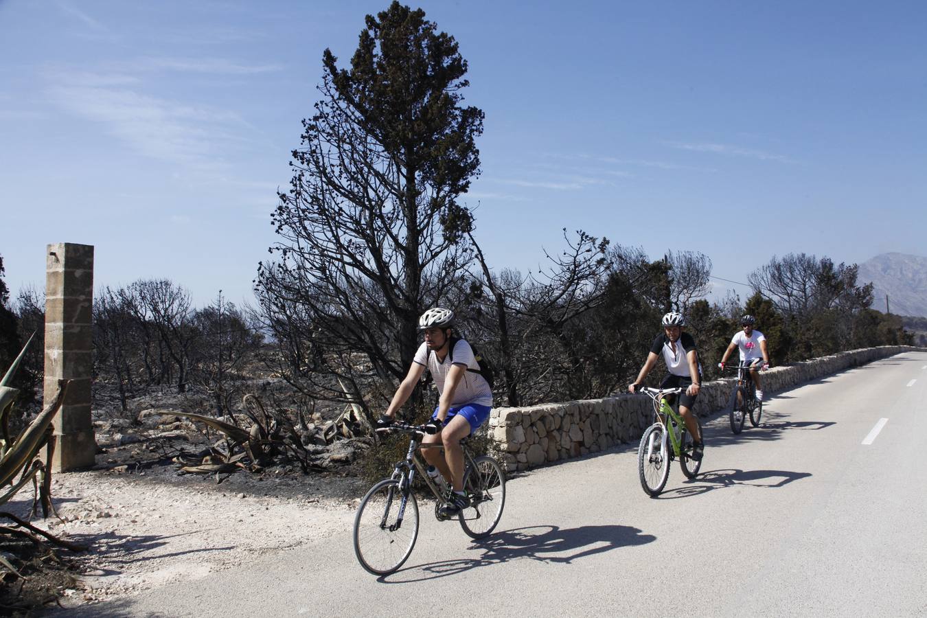 Tareas de limpieza tras el incendio forestal en el parque natural del Montgó