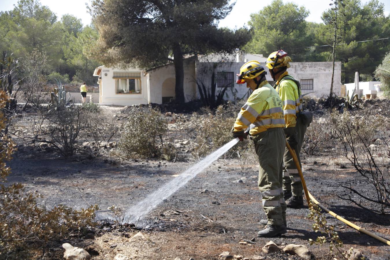 Tareas de limpieza tras el incendio forestal en el parque natural del Montgó