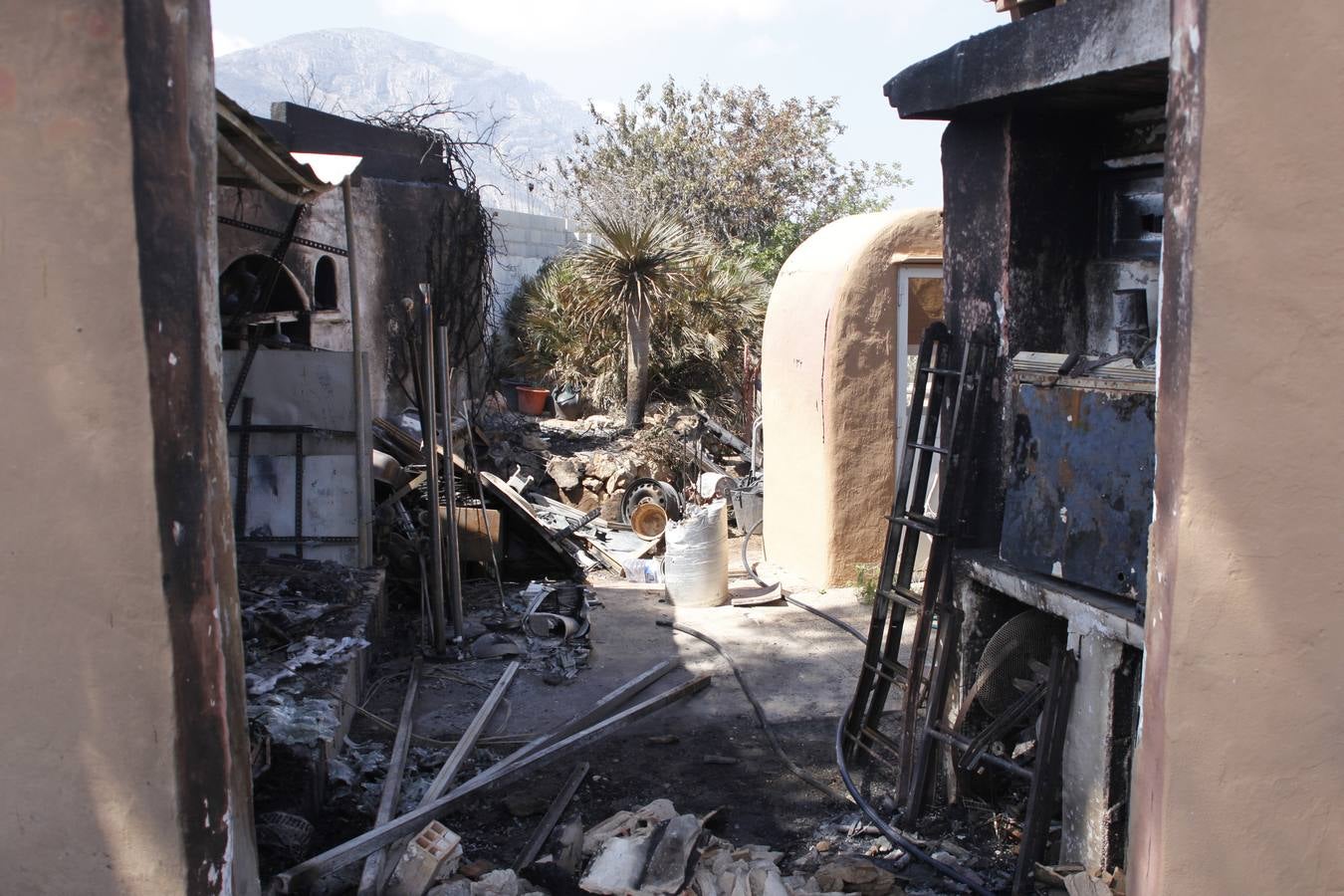 Tareas de limpieza tras el incendio forestal en el parque natural del Montgó