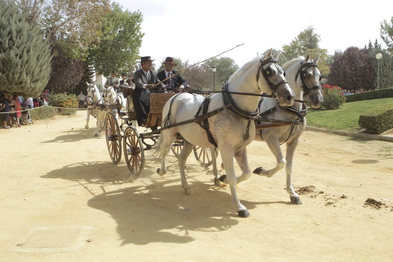 La alamedas se quedan pequeñas para acoger a los fieles de la Virgen de las Huertas