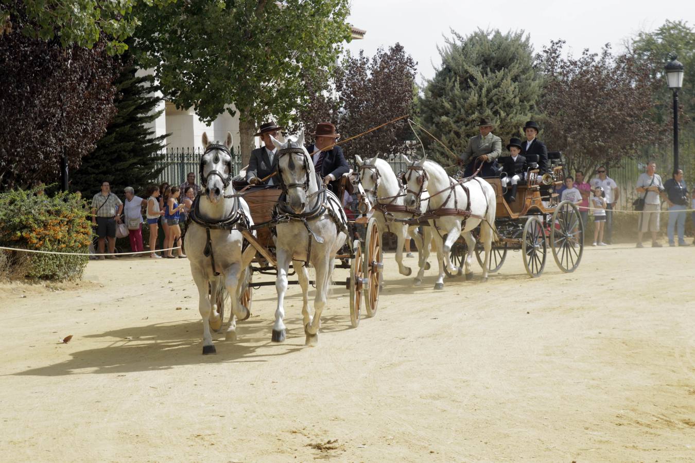 La alamedas se quedan pequeñas para acoger a los fieles de la Virgen de las Huertas