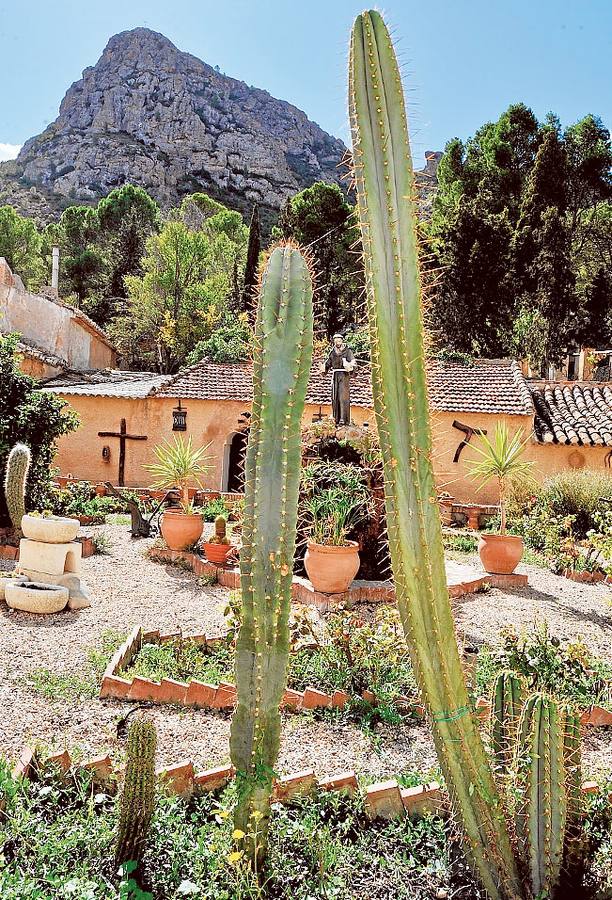 Patio de los cactus.