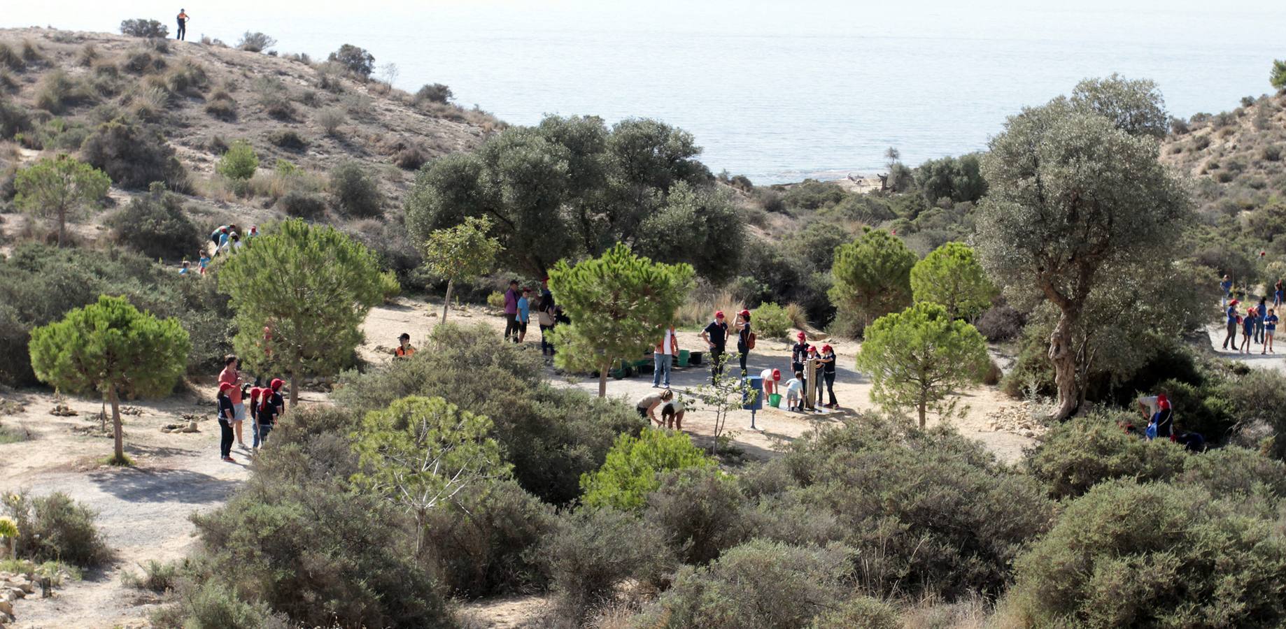 Las Hogueras celebran el Día del Árbol