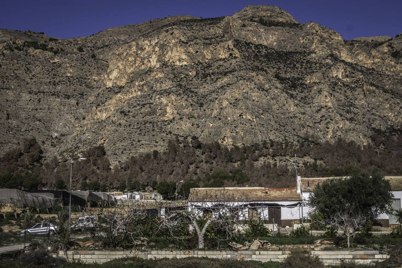 Vecinos de La Aparecida critican que no haya ayudas para combatir el &#039;tomicus&#039;