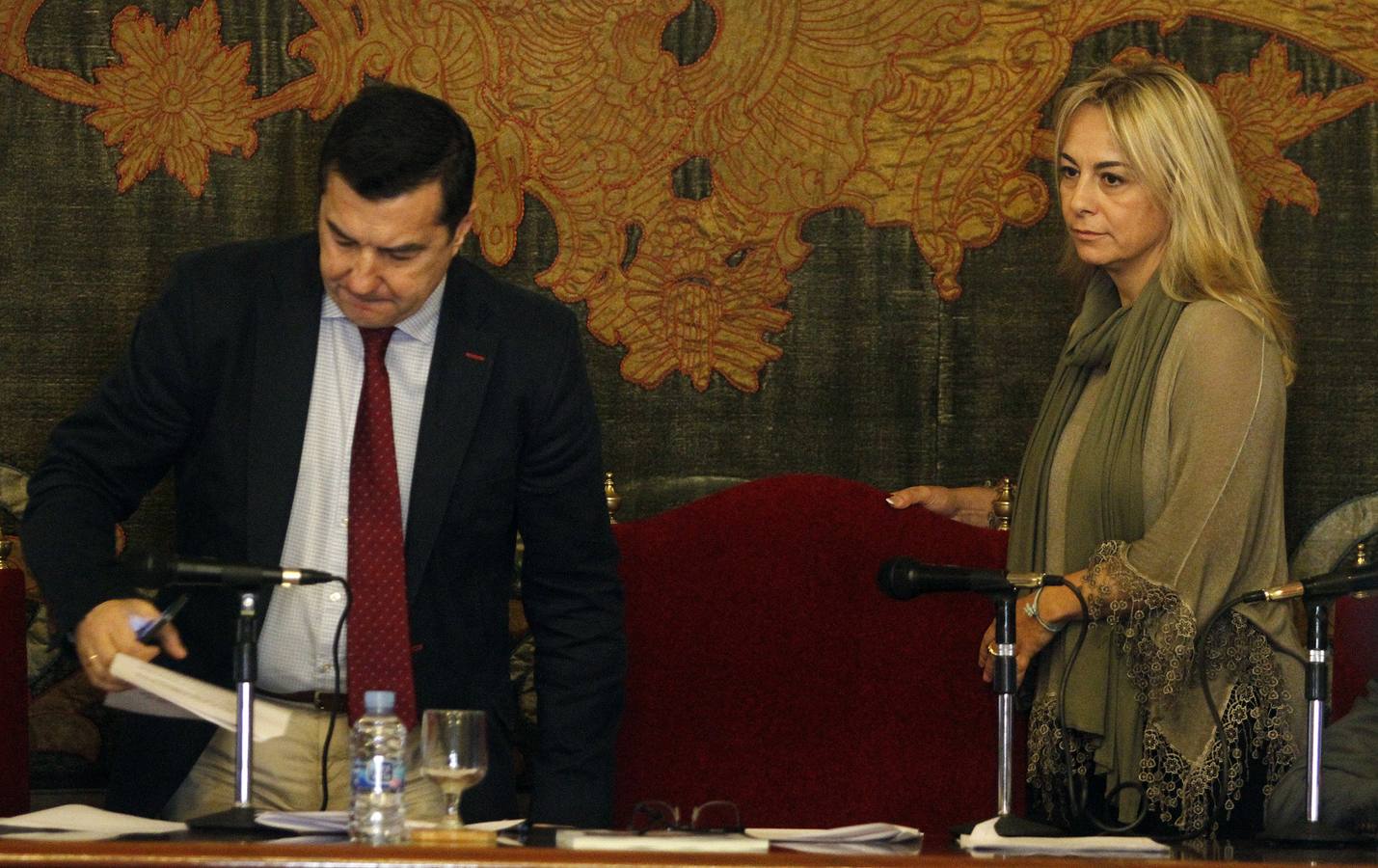 Pleno en el Ayuntamiento de Alicante