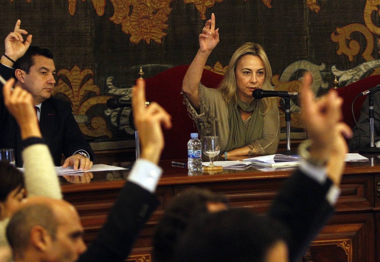 Pleno en el Ayuntamiento de Alicante