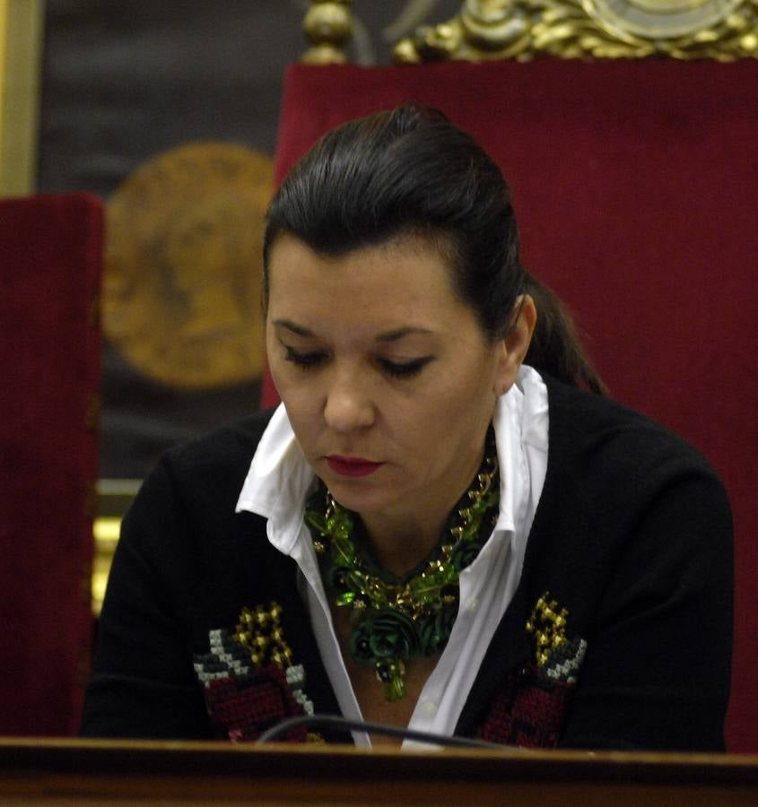 Pleno en el Ayuntamiento de Elche