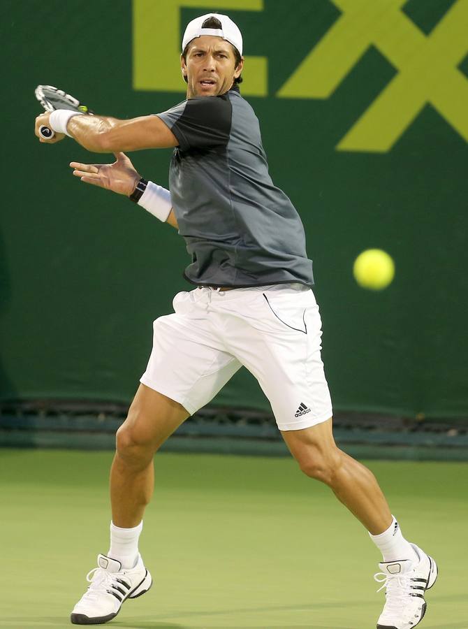 David Ferrer destaca su «buen juego» en la victoria ante Verdasco