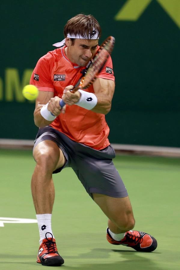 David Ferrer empieza el año con victoria en Doha