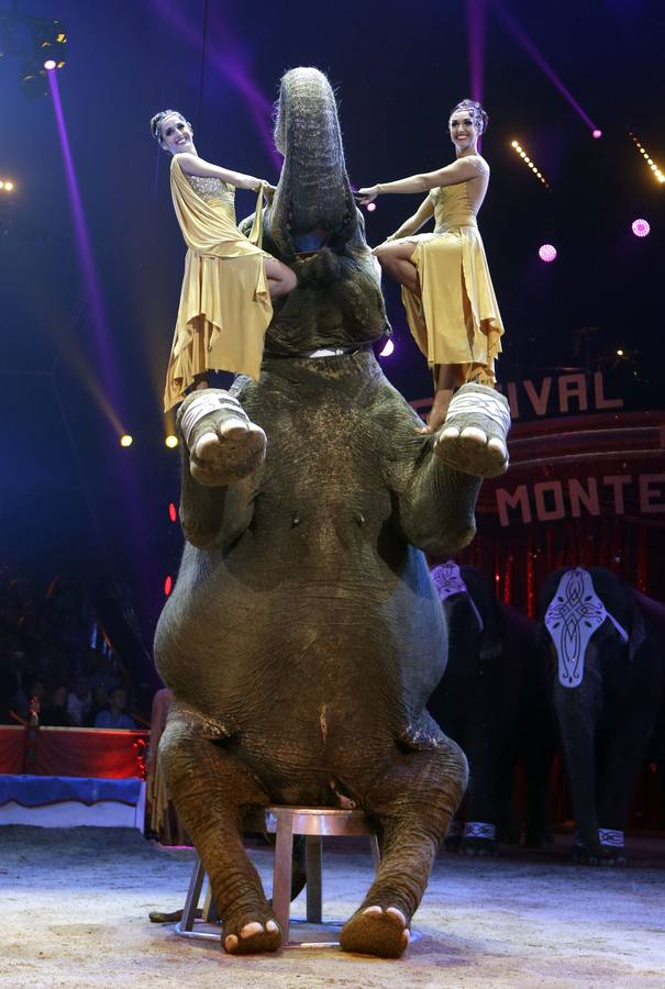 El circo revoluciona Mónaco