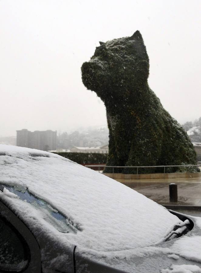 El Museo Guggenheim de Bilbao. BILBAO. Euskadi afronta la llegada de un temporal de nieve , con cotas que bajarán a los 100 metros e incluso podrían situarse al nivel del mar, sobre todo en Gipuzkoa, por lo que los servicios de tráfico y protección civil están alerta para hacer frente a sus consecuencias. En la imagen, Puppy, el enorme perro diseñado por Jeff Koons que vigila la entrada al Museo Guggenheim Bilbao, bajo la nevada.