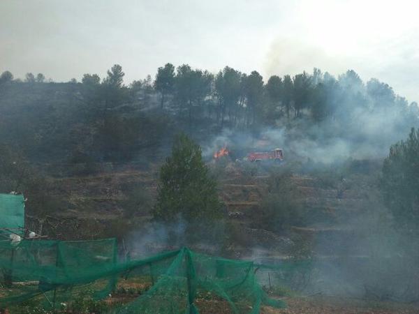 Incendio forestal en L&#039;Orxa