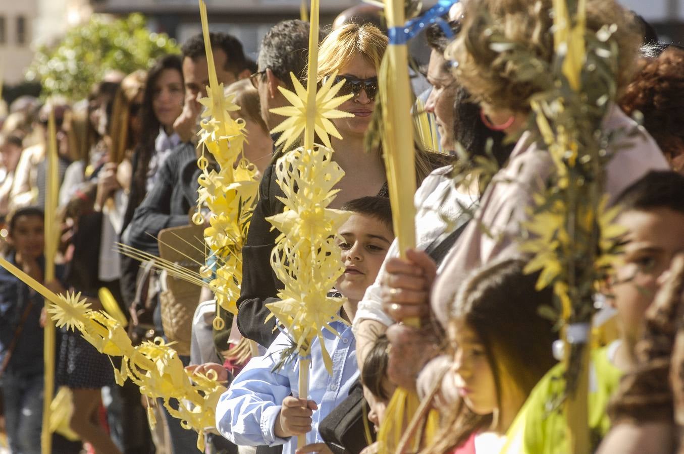 Procesión de Domingo de Ramos en Elche