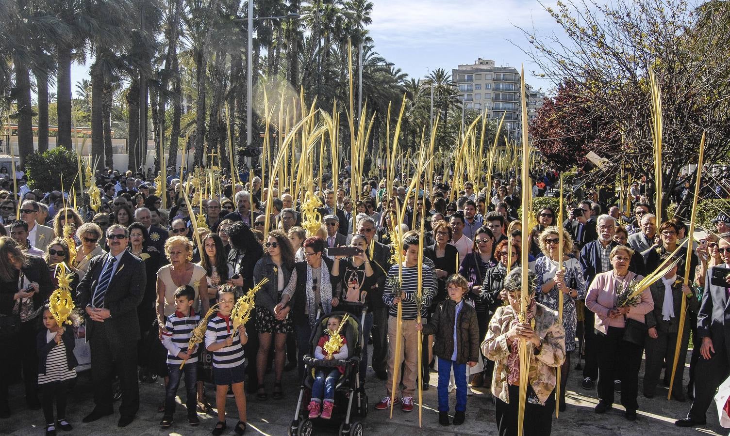 Procesión de Domingo de Ramos en Elche